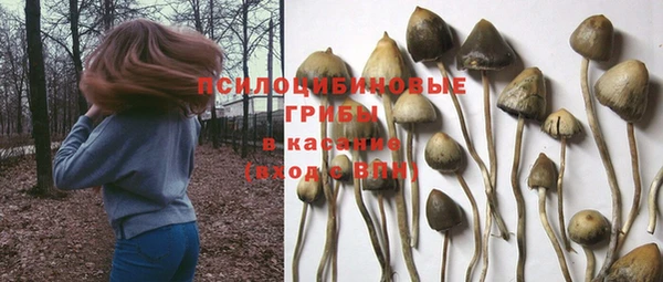 ешки Корсаков