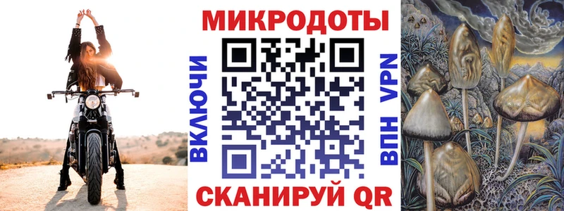 Галлюциногенные грибы прущие грибы Малая Вишера